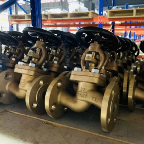 Globe check valve