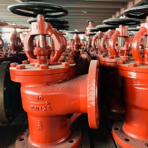 Globe check valve angle type